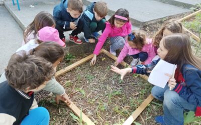 Festival znanosti u Gimnaziji Antuna Vrančića